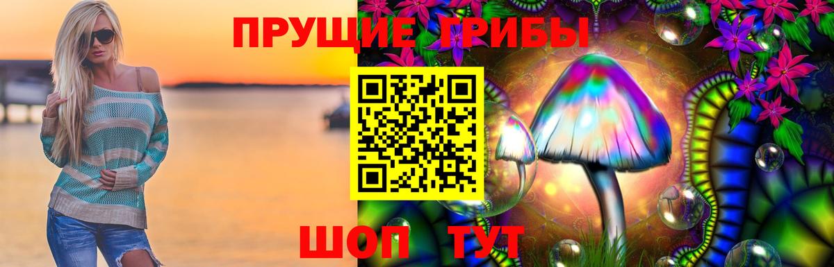 Чусовой  Псилоцибиновые грибы Psilocybine cubensis  Вход с VPN 
